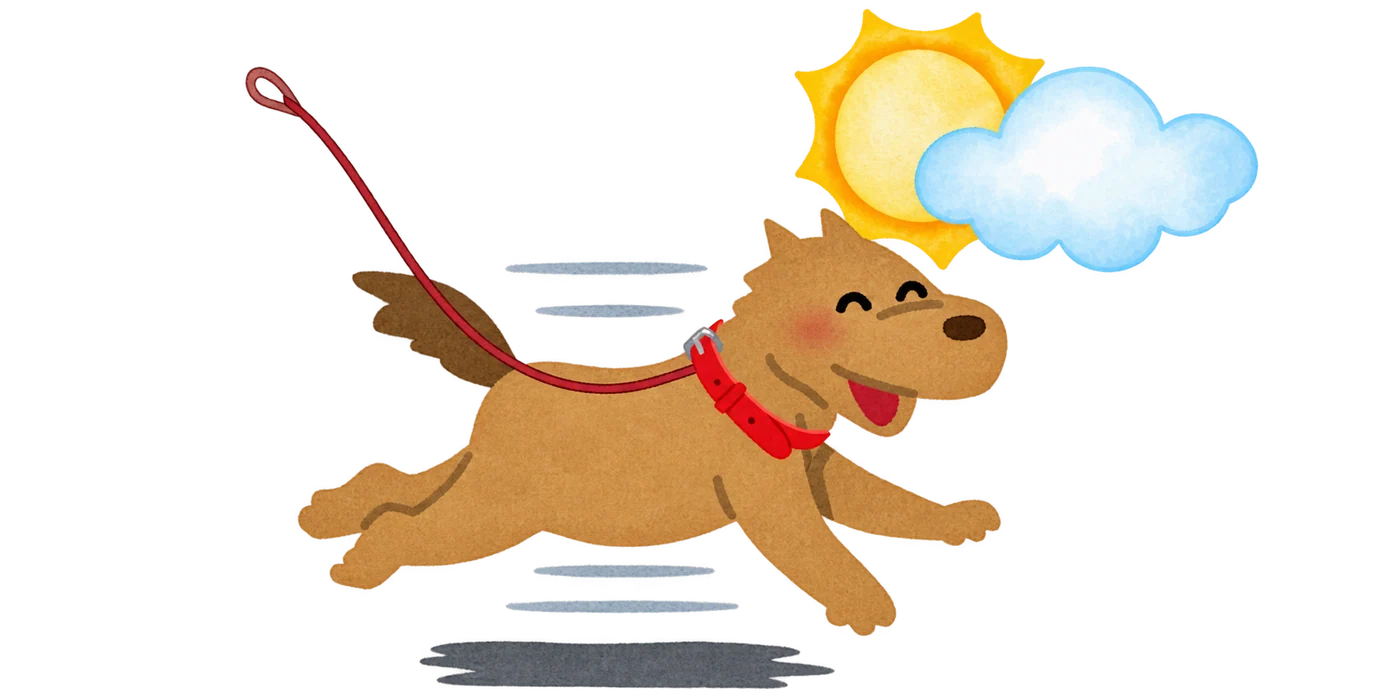 Dog walking on a leash beneath the sun and clouds