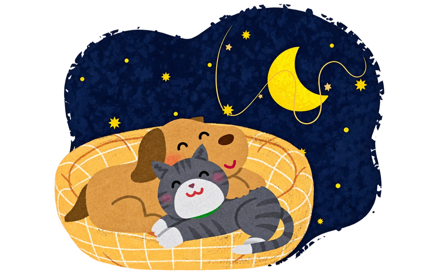 Dog and cat resting together beneath the moon for overnight care