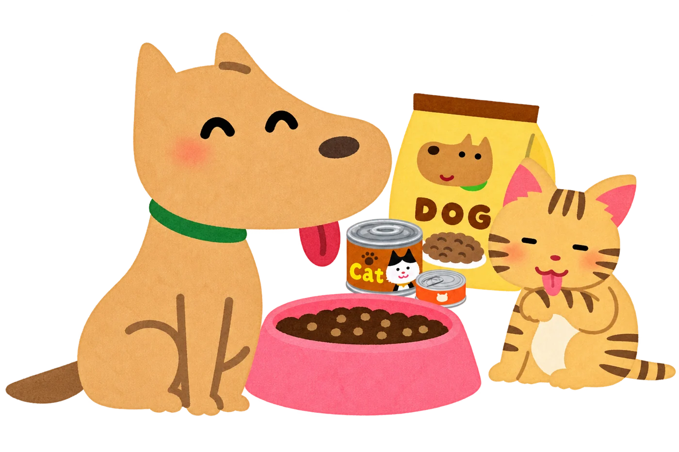Dog and cat with food bowls for a drop-in visit