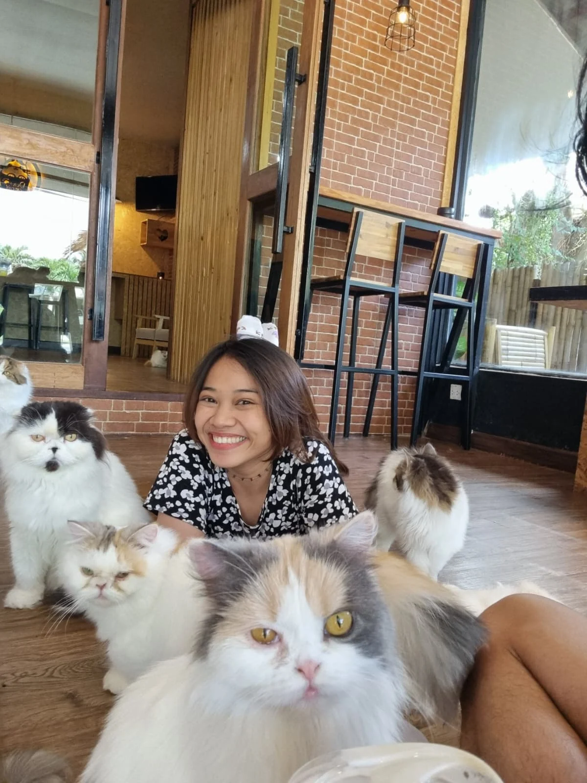Nina smiling surrounded by fluffy cats